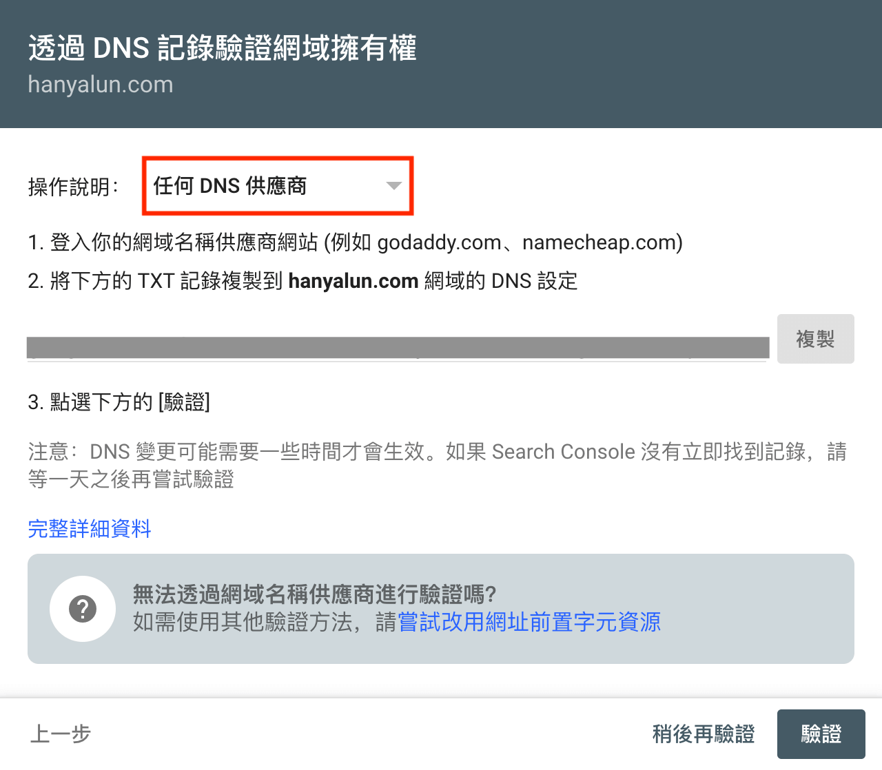 Google Search Console 如何驗證網域資源？以Bluehost使用TXT DNS紀錄為例